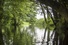 kolejne kilometry po rzece