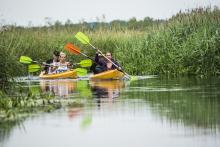 dziewczyny też trzymają wiosła