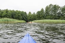 Wpływ do Drawy słabo widoczny wpływ do rzeki