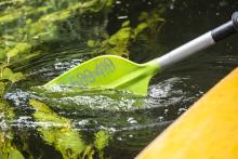 z bliska można zobaczyć jaka woda jest czysta