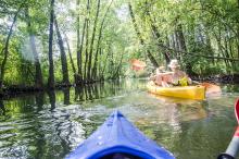 kobiety potrafią pływać