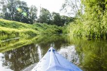 Coraz większe zadrzewienie stopniowa zwiększa się ilość drzew przy rzece