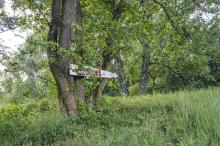 Znak pole biwakowe Czubajka biwak czubajka dla kajakarzy